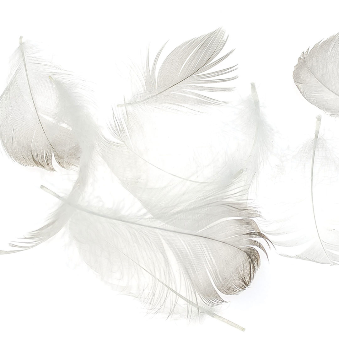Feather Size Standard Fiber